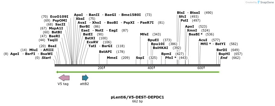 35956_map