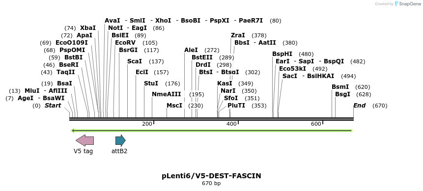 35957_map