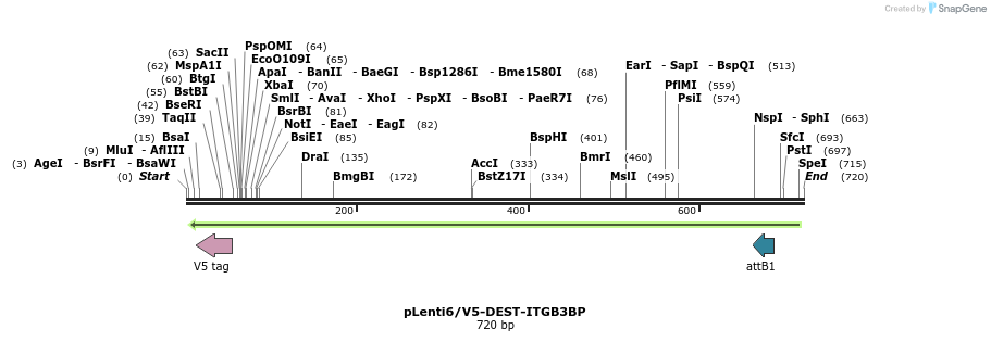 35963_map