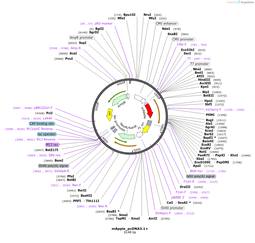 360015_map
