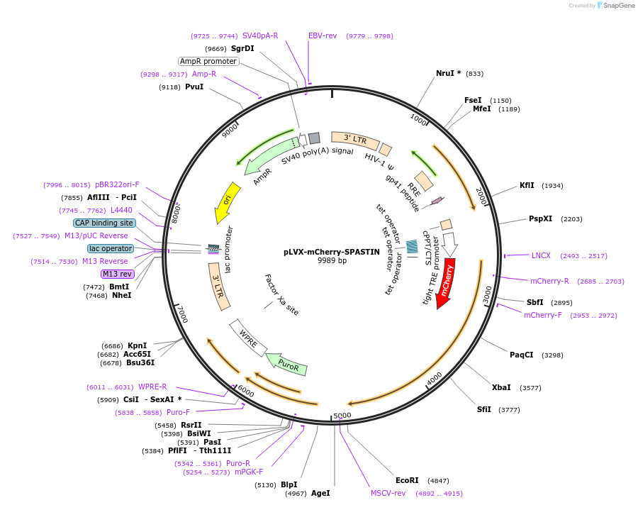 360020_map