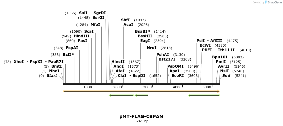 360047_map