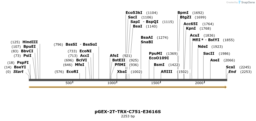 360052_map