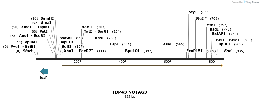 36006_map