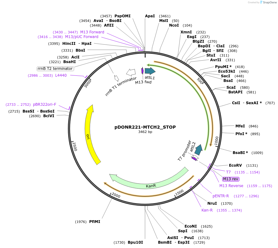 360077_map