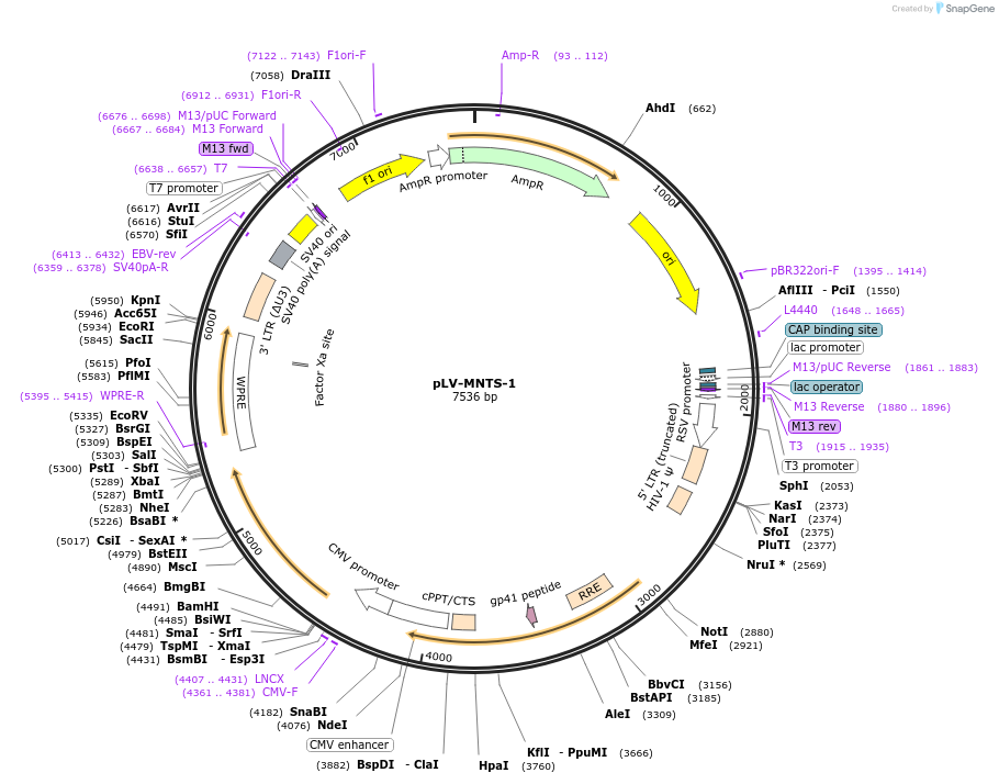360100_map