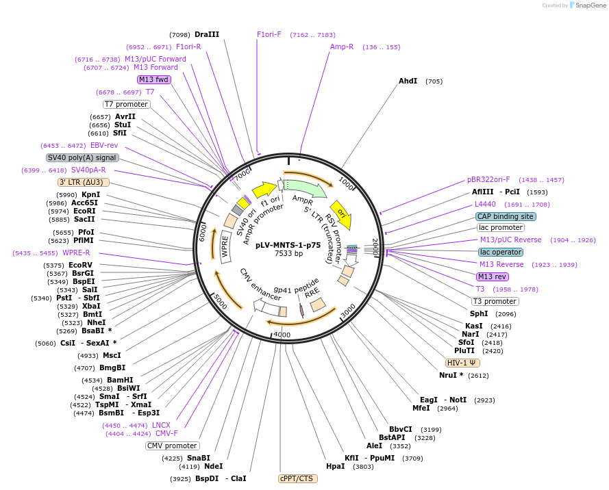 360103_map