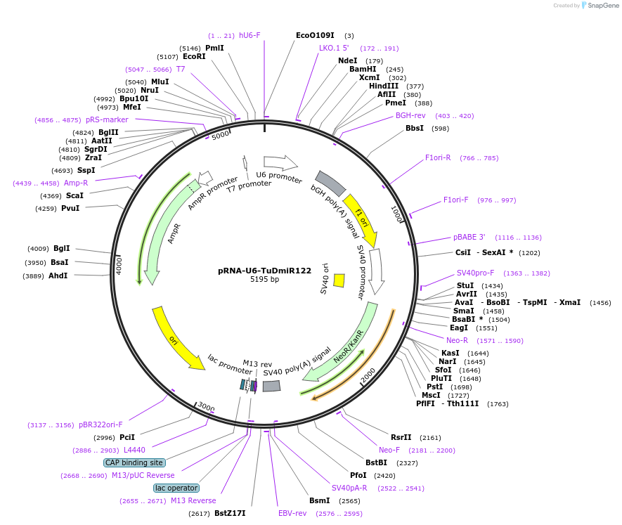 360104_map