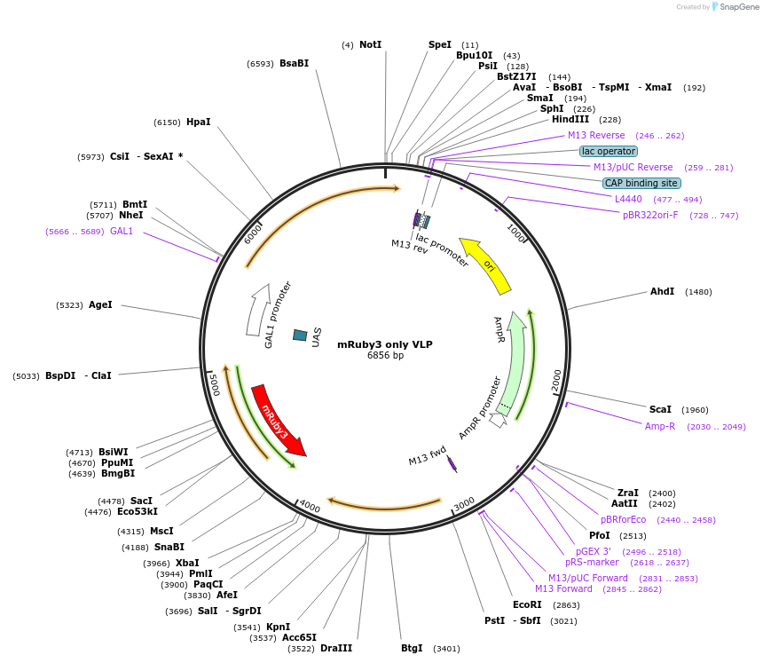 360111_map