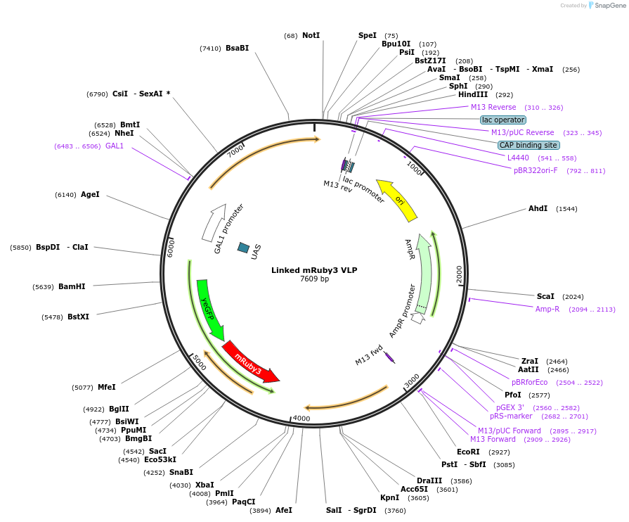 360112_map