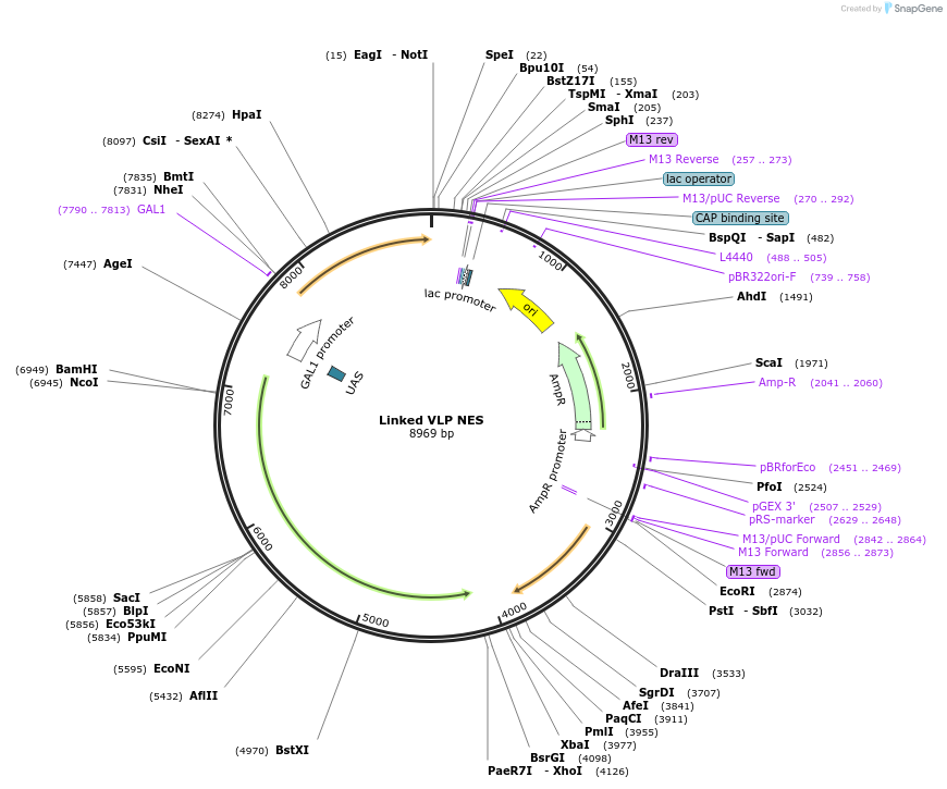 360114_map