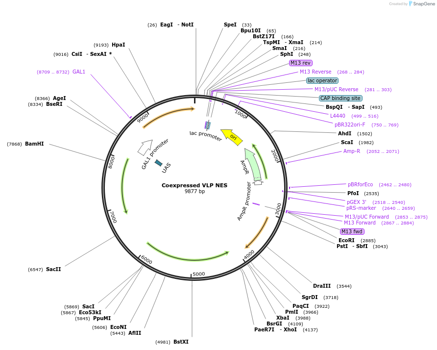 360116_map