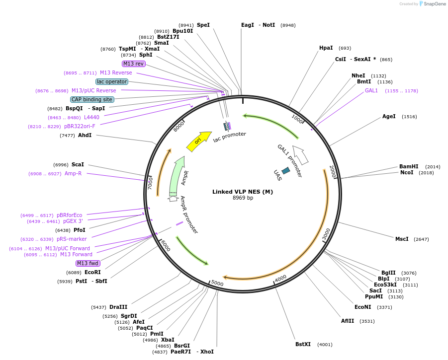 360117_map