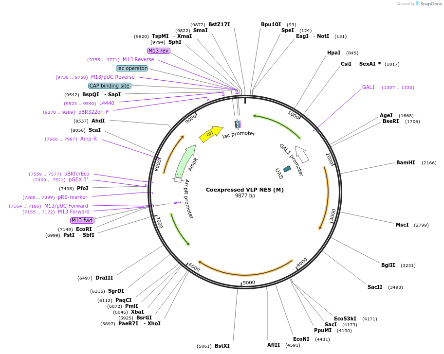 360119_map