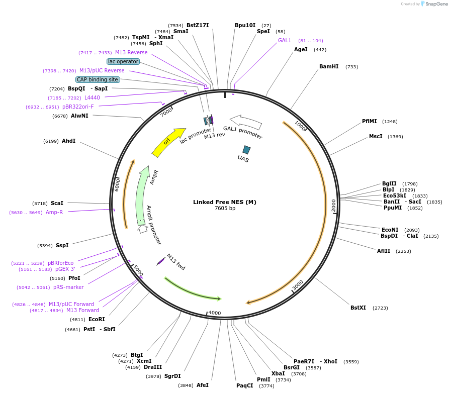 360120_map
