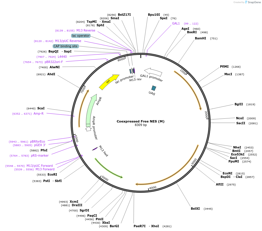 360121_map