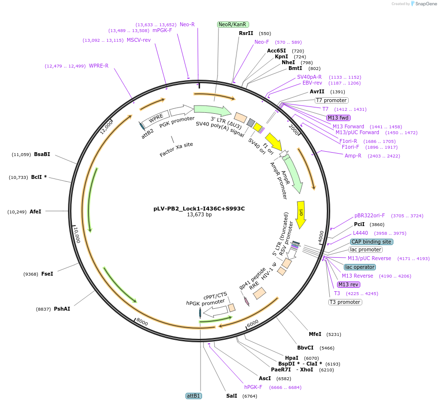 360131_map