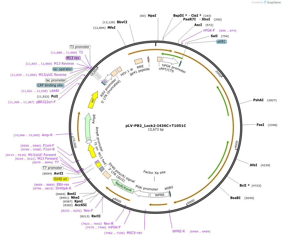 360133_map