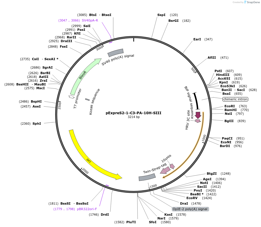 360135_map