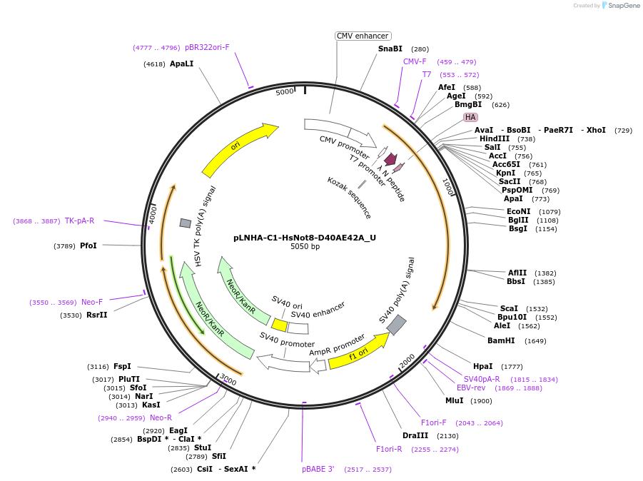360160_map