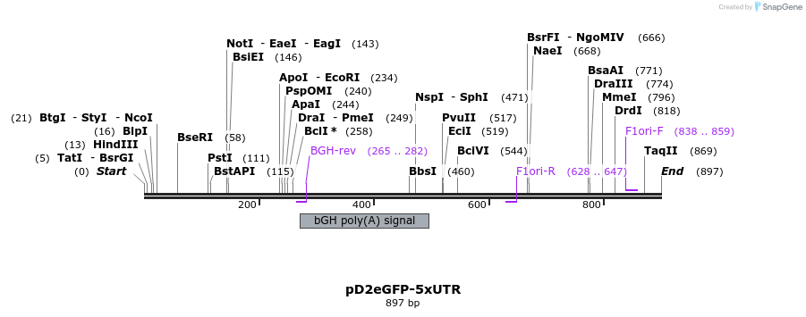 36017_map