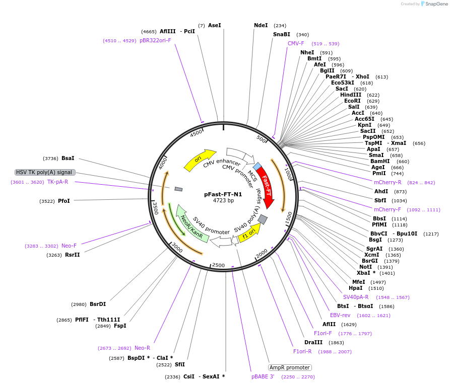 36028_map