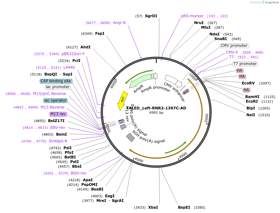 360282_map