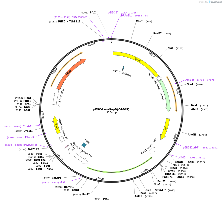 360301_map