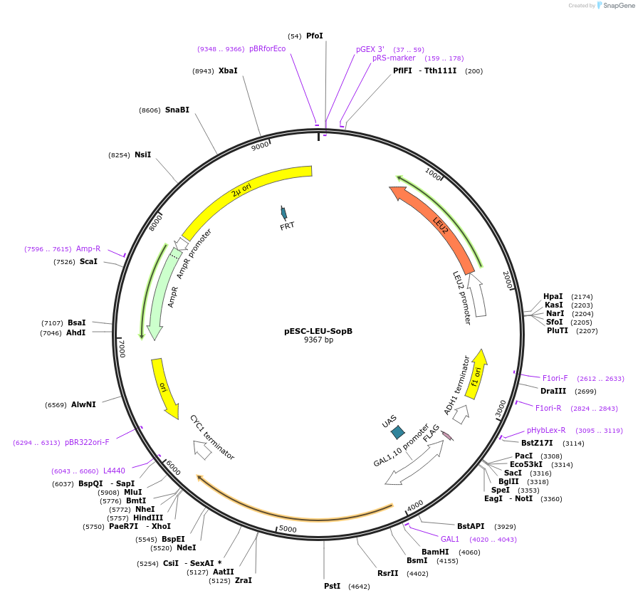 360303_map