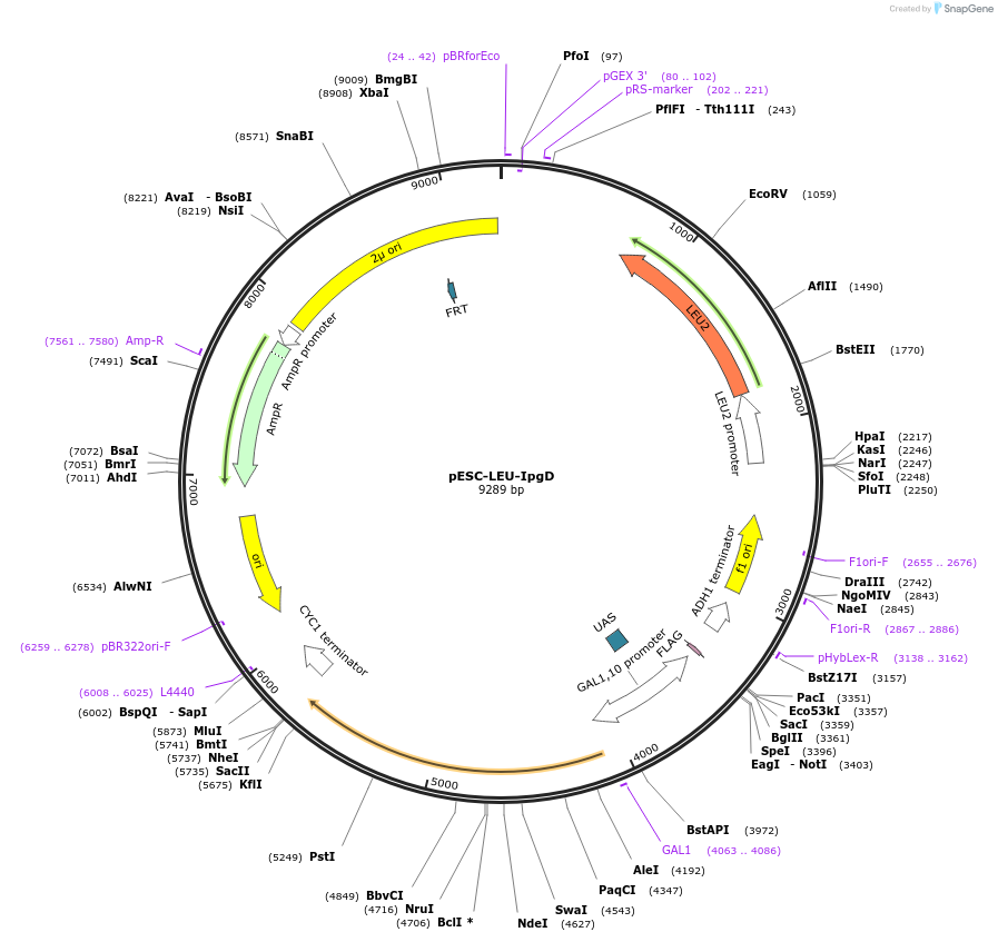 360304_map