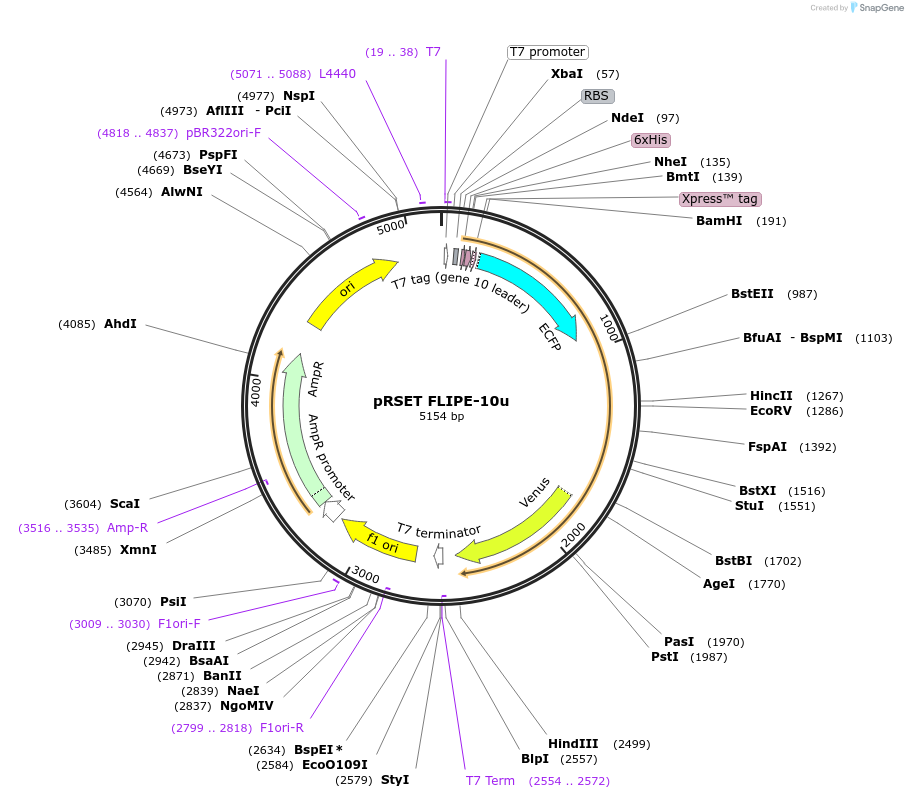 360343_map