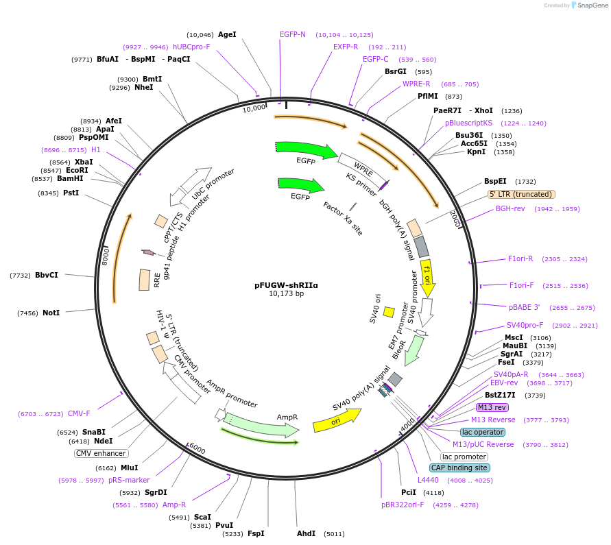 360358_map