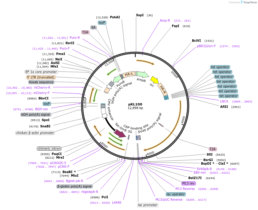 360396_map