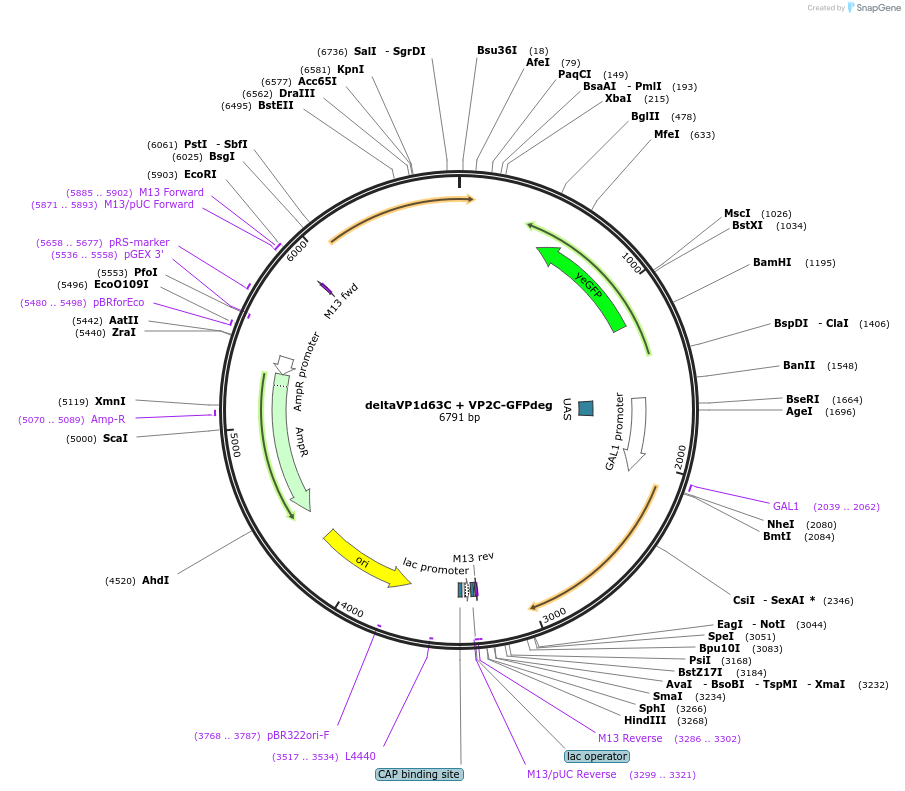 360432_map