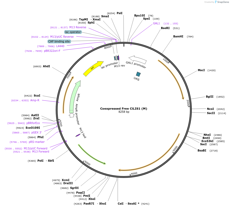 360440_map
