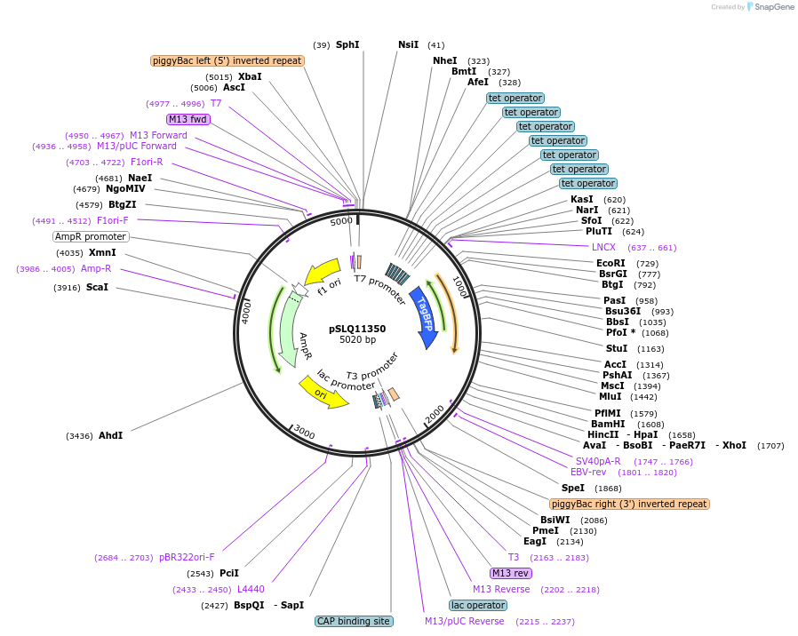 360581_map