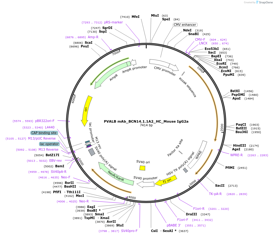 360593_map