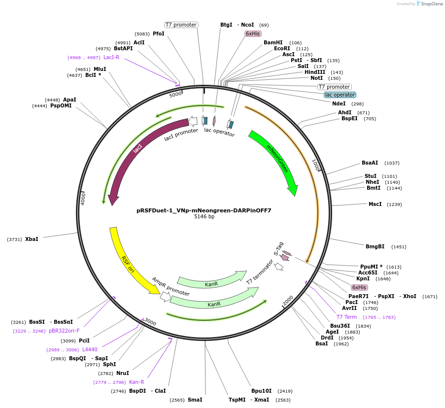 182415-plasmid-map-sequence-id-360651