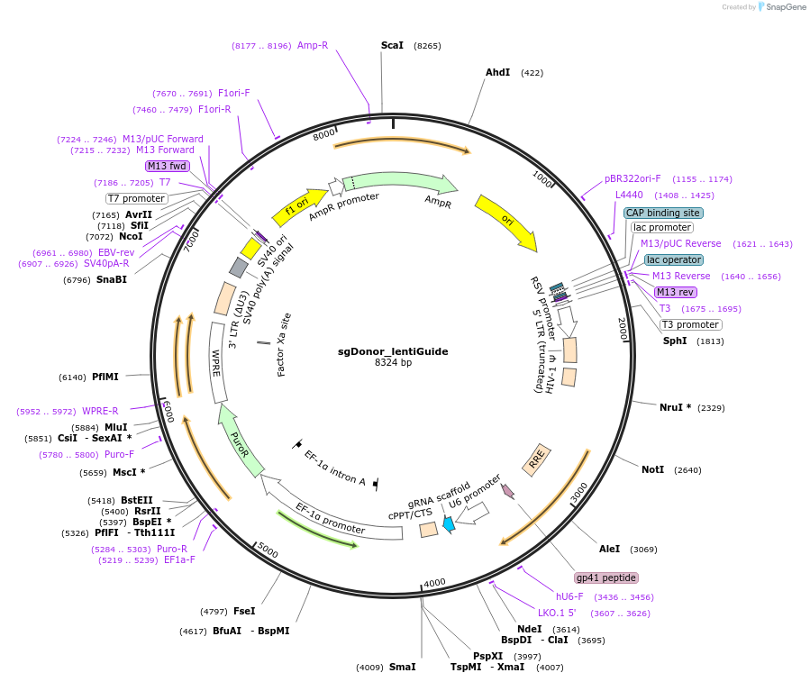 360733_map