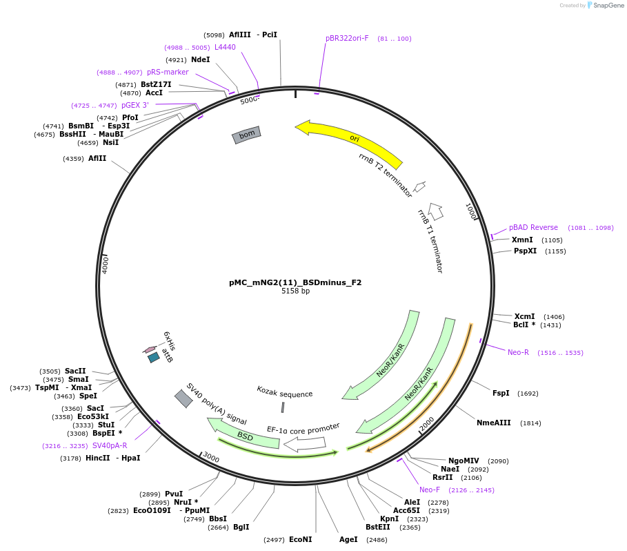 360754_map