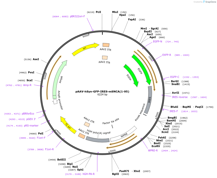 360798_map