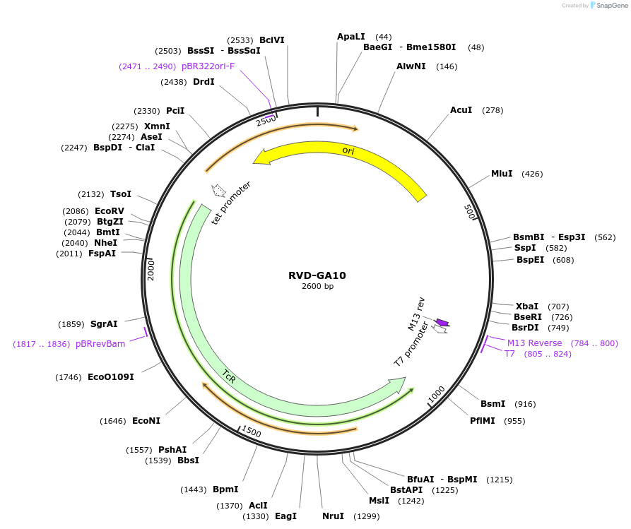 360877_map