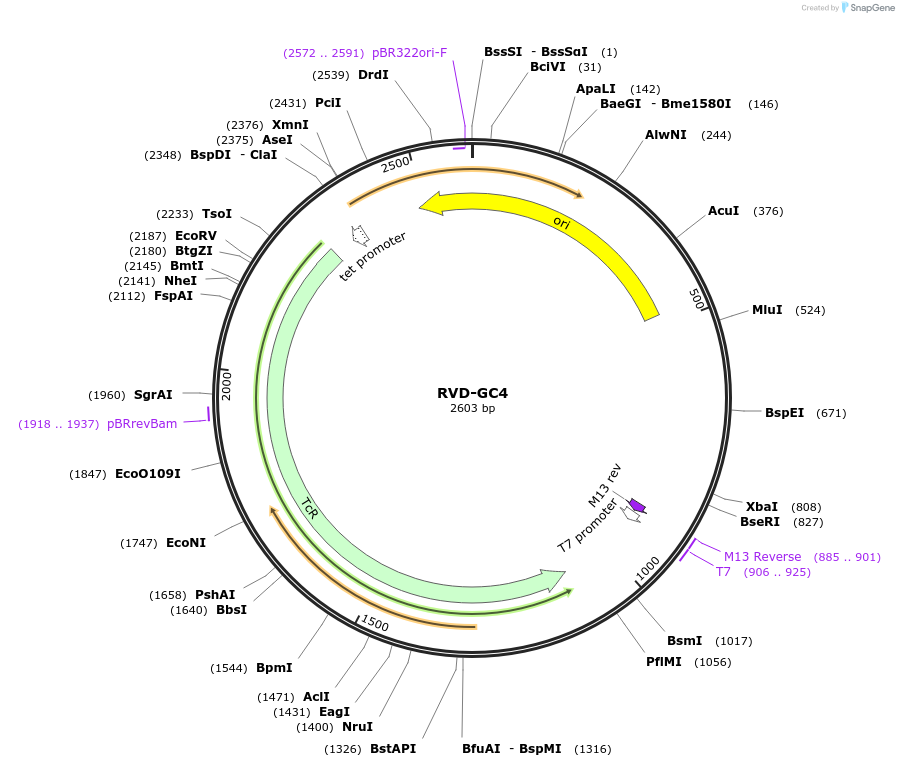 360894_map