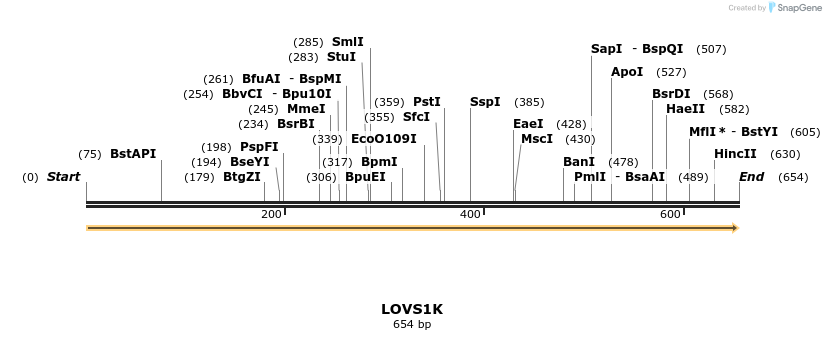 36090_map