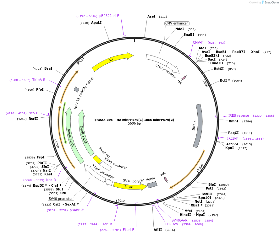 360902_map