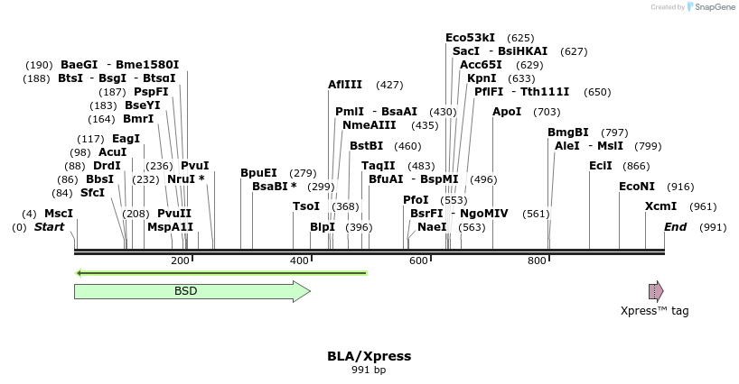 361_map