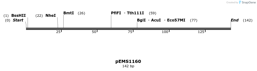 36101_map