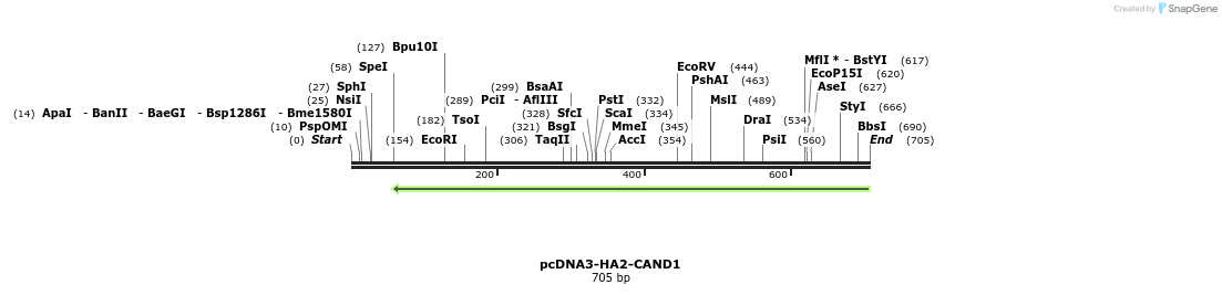 36109_map