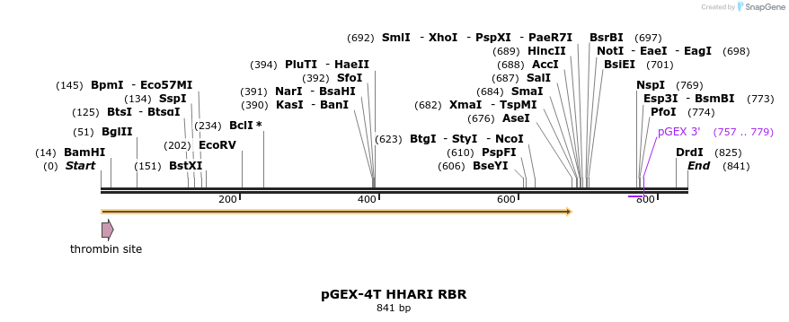 36110_map