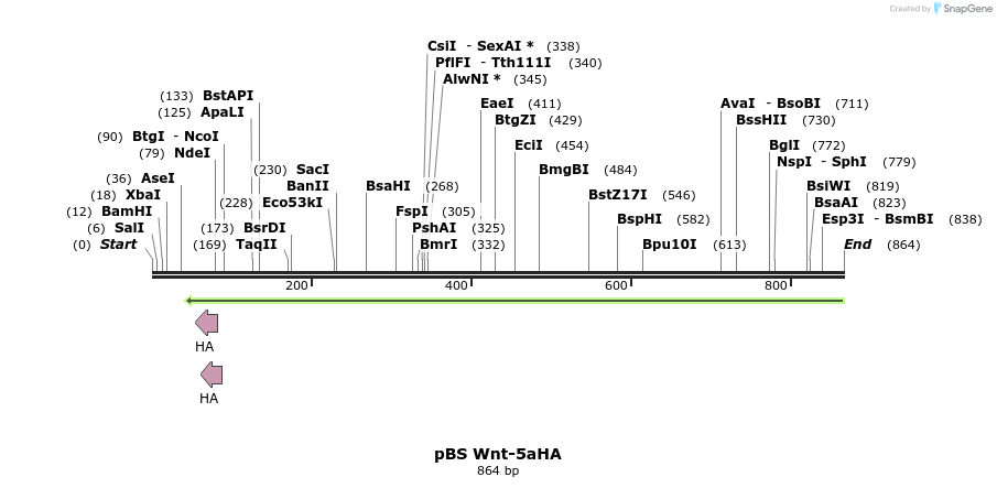 36119_map